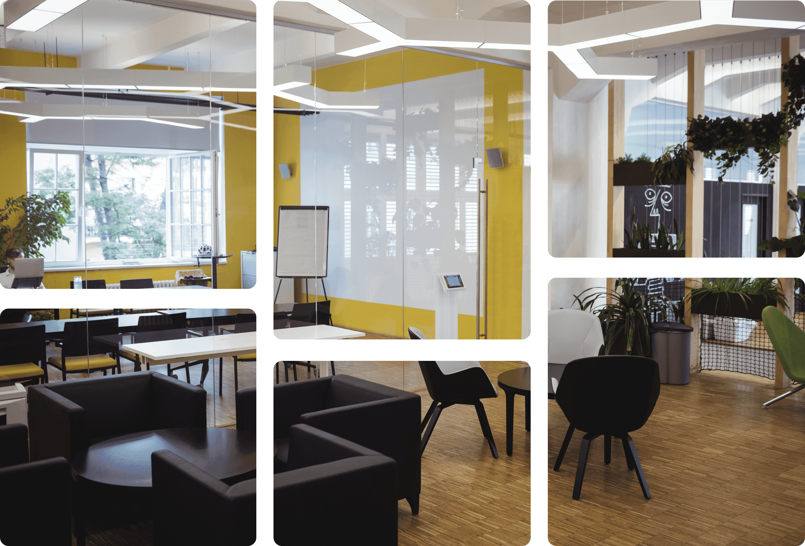 Decorative Background